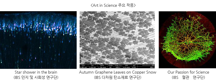 Art in science 주요 작품