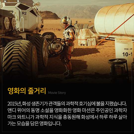 영화의 줄거리