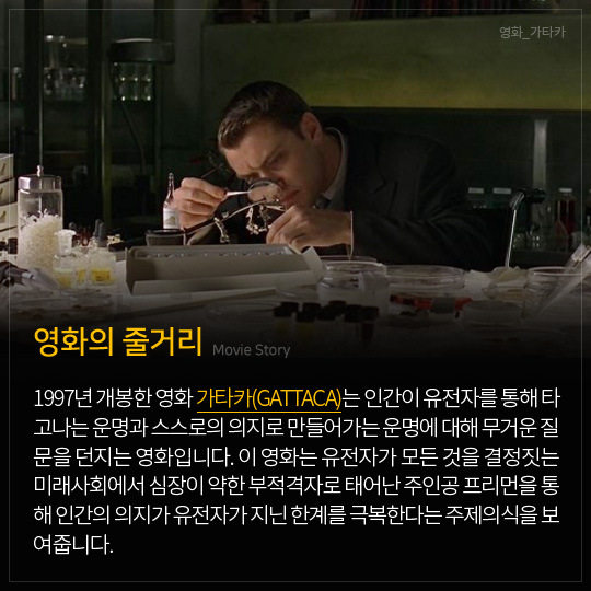 영화의 줄거리