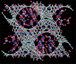 Graphene Hive