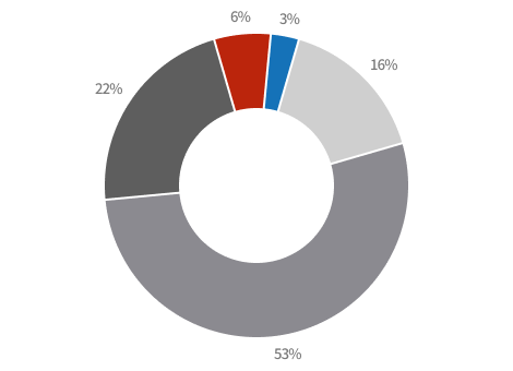 연구인력 구성(연령별) 파이그래프 - 60대이상 : 3%, 50대 : 6%, 40대 : 22%, 30대 : 53%, 20대 : 16%
