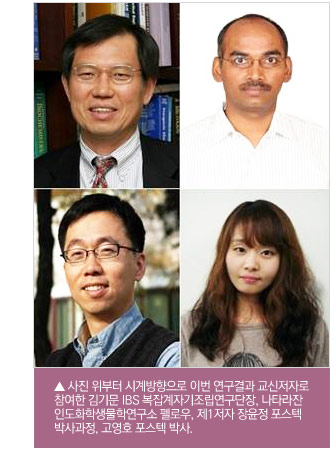 사진 위부터 시계방향으로 이번 연구결과 교신저자로 참여한 김기문 IBS 복잡계자기조립연구단장, 나타라잔 인도화학생물학연구소 펠로우, 제1저자 장윤정 포스텍 박사과정, 고영호 포스텍 박사.