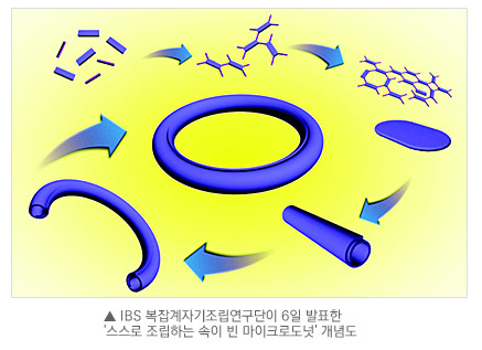IBS 복잡계자기조립연구단이 6일 발표한 '스스로 조립하는 속이 빈 마이크로도넛' 개념도
