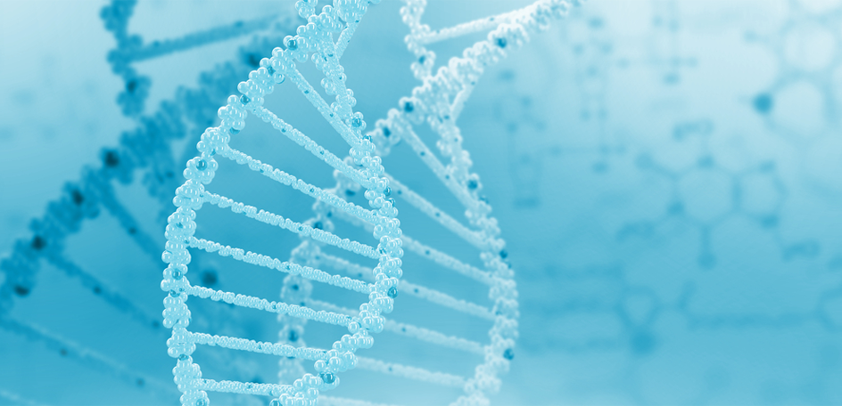DNA 나선