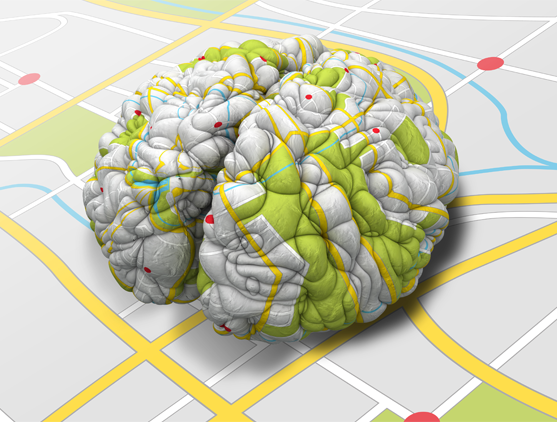 뇌 지도에도 축적이 있다. 뇌를 전체적으로 보는 지도는 세밀한 부분에 대한 정보를 얻기 어려운 대신 영역별 기능을 볼 수 있다. 반면 뇌의 세부를 보는 지도는 신경세포의 정확한 배치를 파악하여 연결 상태를 세세하게 확인할 수 있다. ⓒshutterstock.com