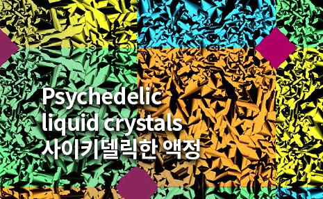 The 3rd Art in Science_Psychedelic liquid crystals 사이키델릭한 액정