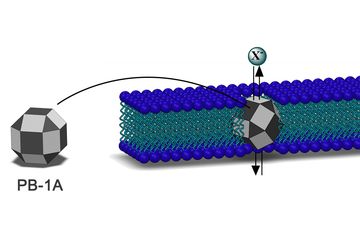 Synthetic Nanochannels for Iodide Transport
