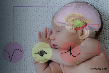 Controlling Memory By Triggering Specific Brain Waves During Sleep
