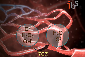 Multi-Antioxidant Nanoparticles to Treat Sepsis