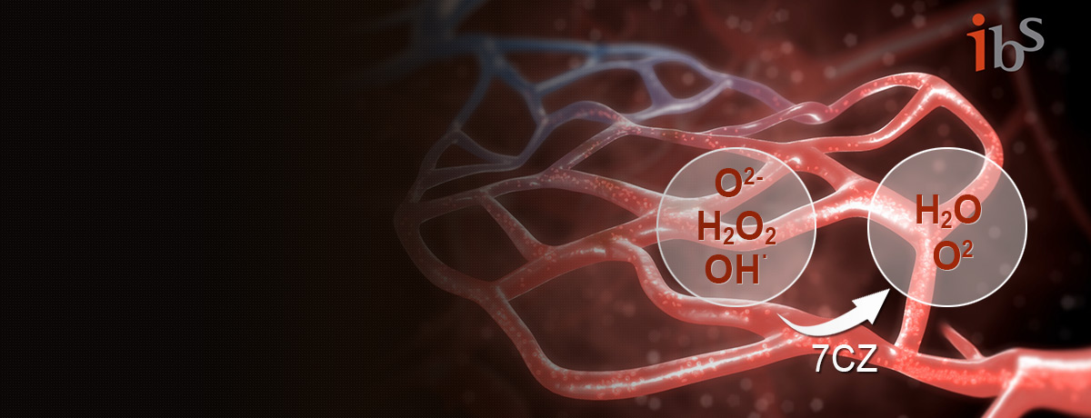 Multi-Antioxidant Nanoparticles to Treat Sepsis