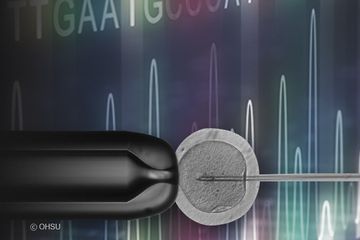 Correction of a Faulty Gene in Human Embryos