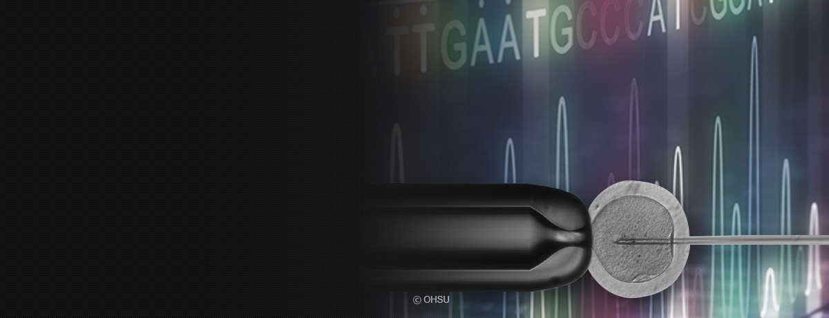 Correction of a Faulty Gene in Human Embryos