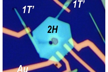 2D Electronics
