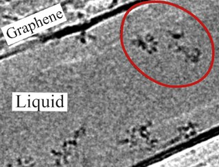 Naked Molecules Dancing in Liquid Become Visible