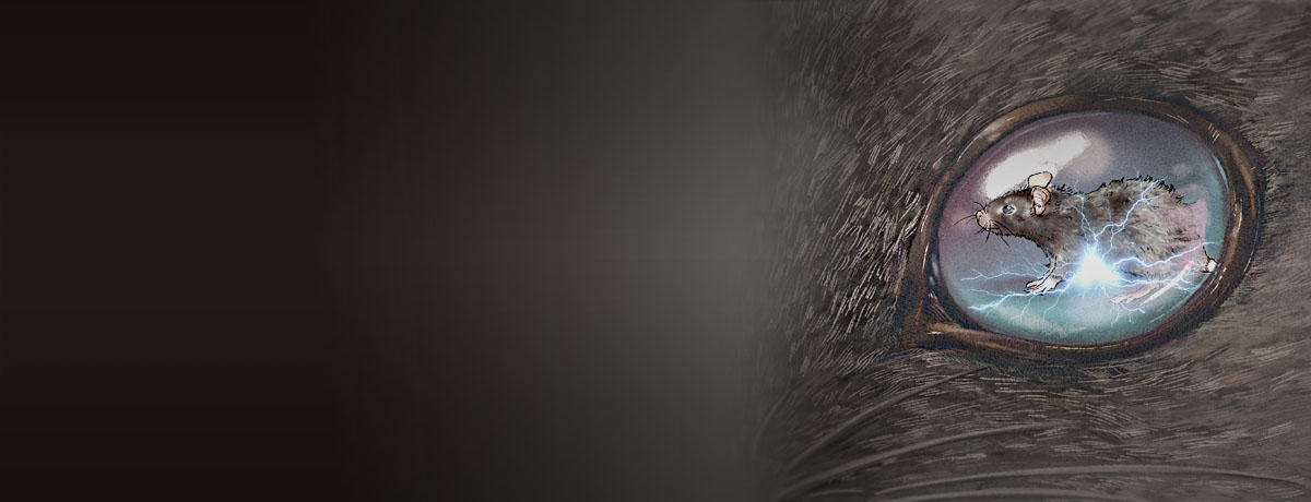 Gene Variant Increases Empathy-Driven Fear in Mice