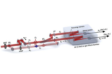 Detecting the Shape of Laser Pulses from Escaped Electrons
