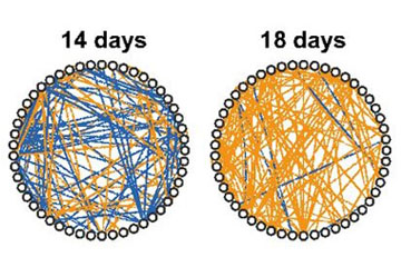 A Troika of Proteins Controls Leaf Old Age Onset