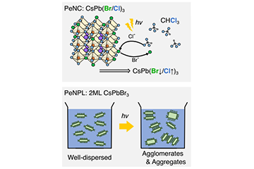 Capturing the Fleeting Transformation of Perovskite Nanomaterials Under Light