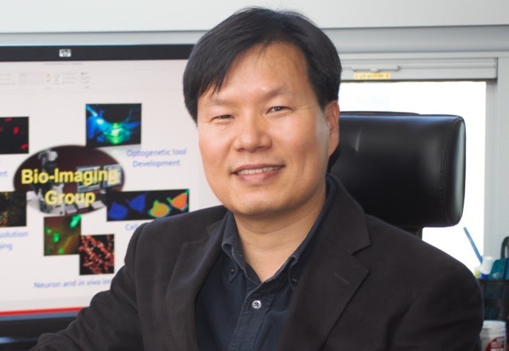 IBS researchers develop world’s first light technology to control proteins in living cells