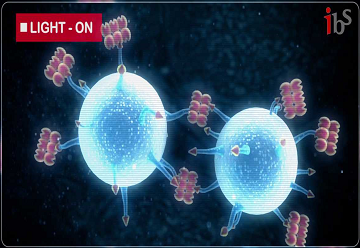 IBS researchers develop world’s first light technology to control proteins in living cells