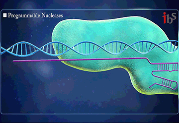 End of CRISPR-CAS9 controversy