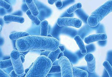 Academy of Immunology and Microbiology