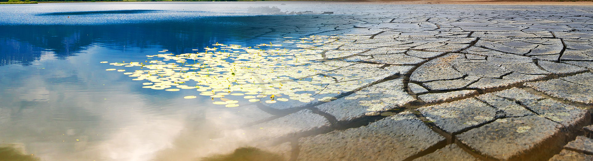 Running Dry – A New Study Warns of Extreme Water Scarcity in the Coming Decades