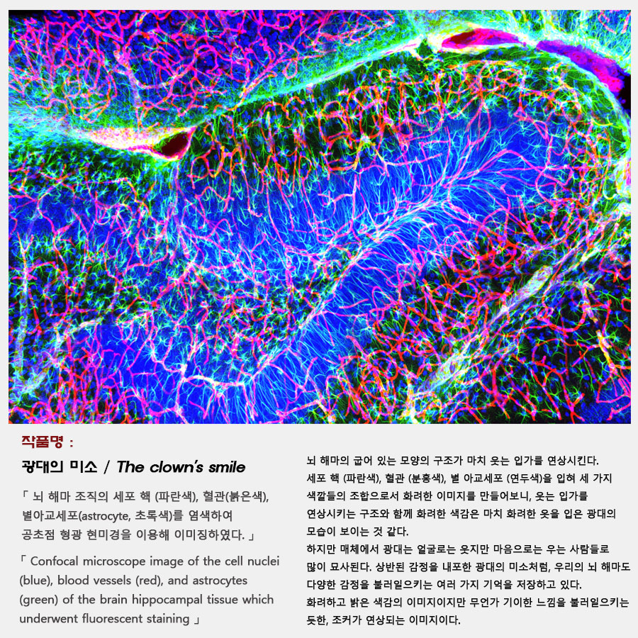 광대의 미소