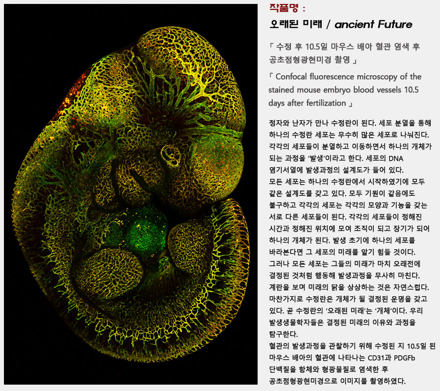 오래된 미래