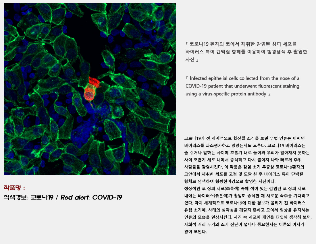 적색경보: 코로나19