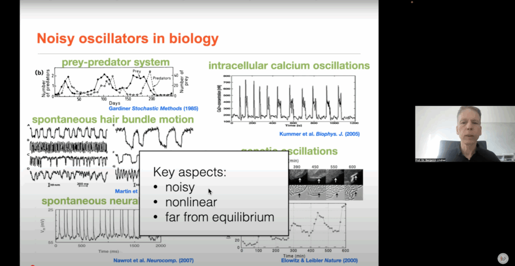 Benjamin Lindner gave an online talk titled “Simplified descriptions of stochastic oscillators” at the IBS Biomedical Mathematics Colloquium.