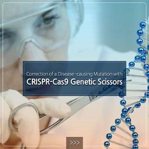 Correction of a Disease-causing Mutation with CRISPR-Cas9 Genetic Scissors
