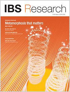 IBS Research 11호