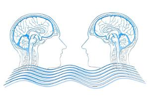[과학자의 세상읽기] 신희섭의 ‘뇌가 있는 풍경’ - Vol.8 공감의 뇌 기전과 싸이코패스