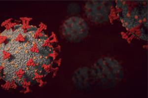 백신이 만든 기억 T세포, 오미크론에 강한 면역반응