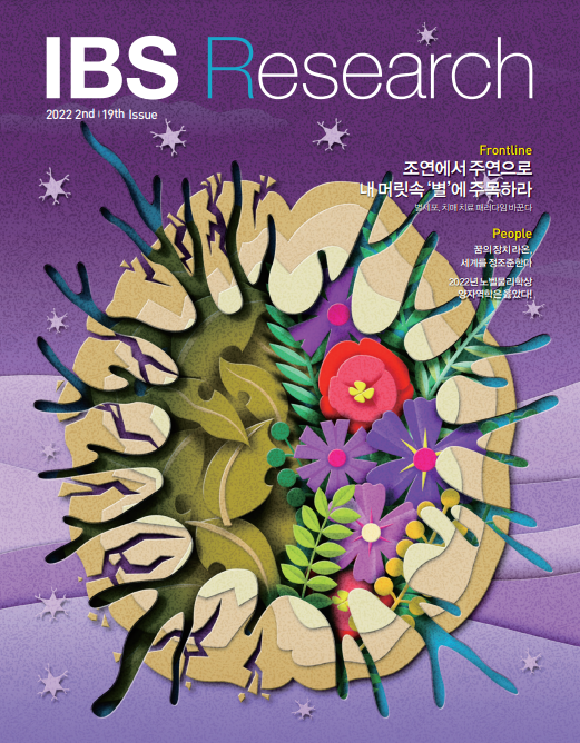 IBS Research 19호