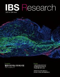 IBS Research 20호