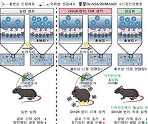공포 기억을 지우지 못하는 뇌, 자폐 환자 불안․공포 뇌 회로 비밀 풀렸다