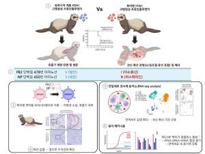 H5N1 조류인플루엔자, 포유류에 치명적인 이유 찾았다