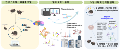 감정 회로 흔드는 뇌 속 작은 변화, 우울증의 새로운 기전 찾았다