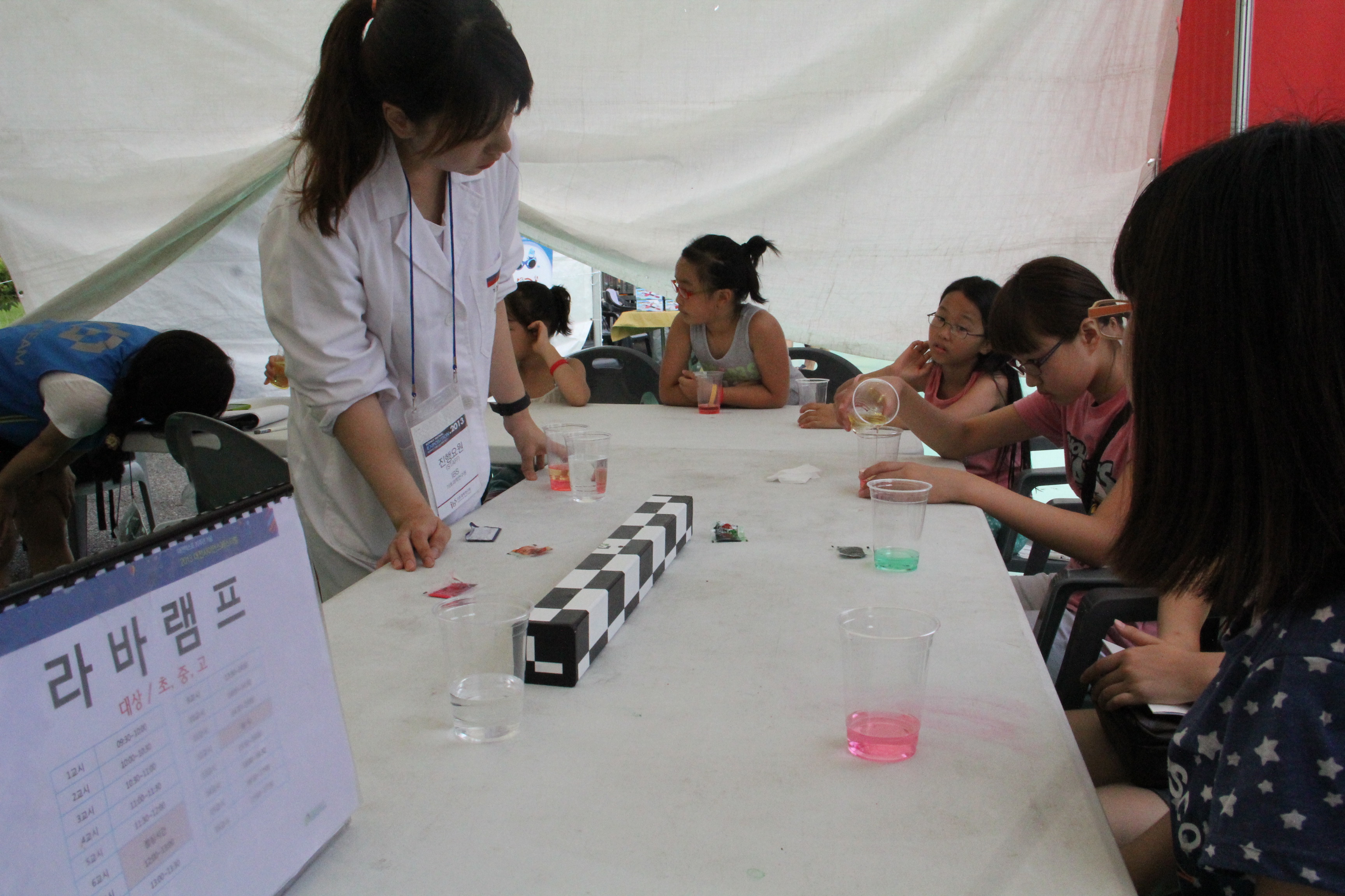 2013 Science Festival