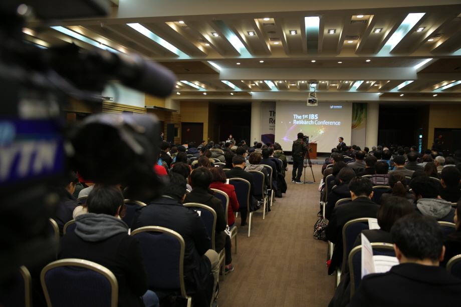 IBS Research Conference