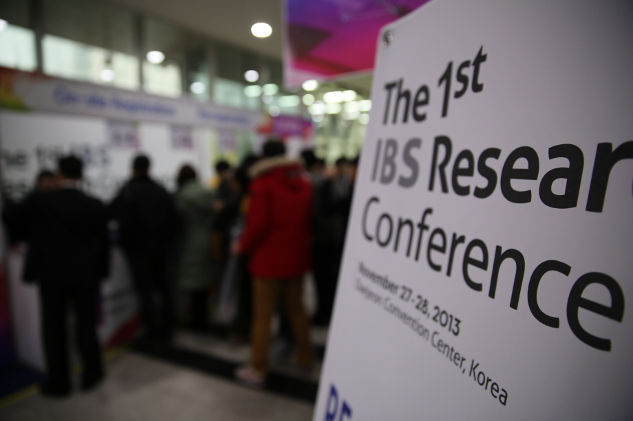 IBS Research Conference