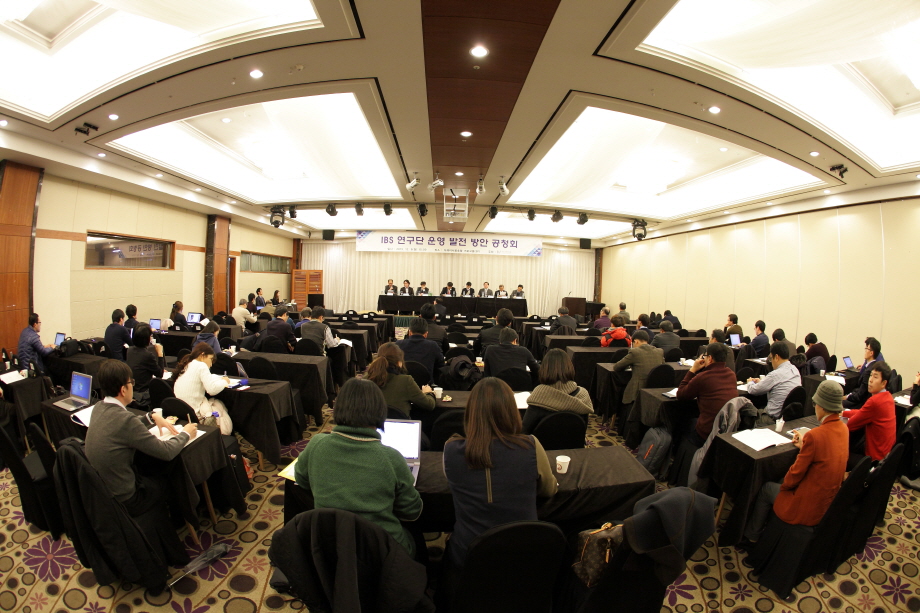 Public Hearing on Development Plan for IBS Centers
