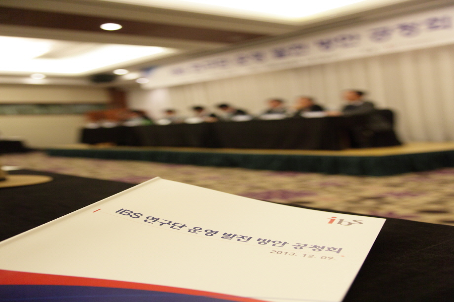 Public Hearing on Development Plan for IBS Centers