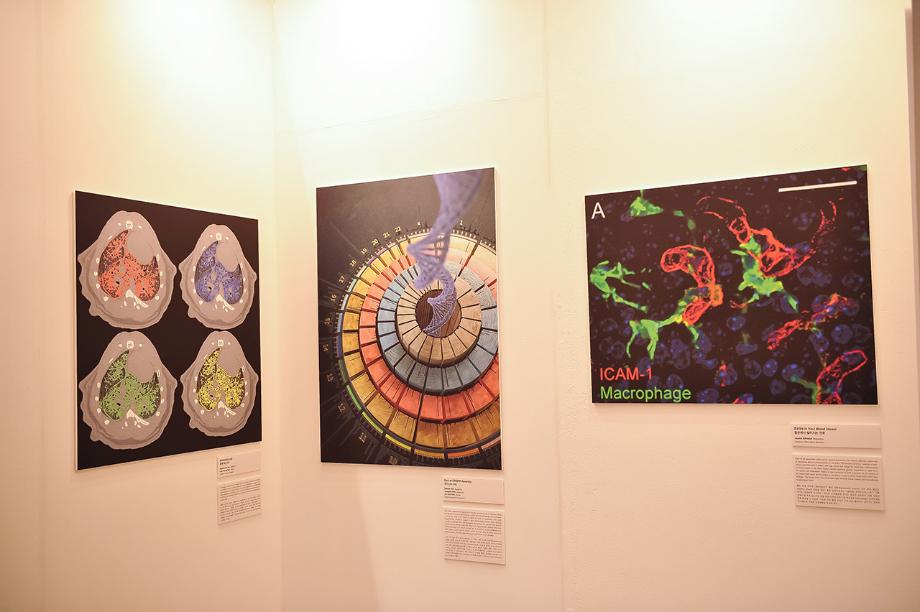 아트 인 사이언스 3