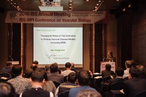 IBS-MPI Conference on Vascular Biology