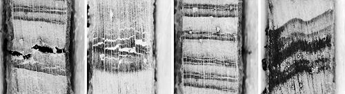 과거로부터 온 메시지