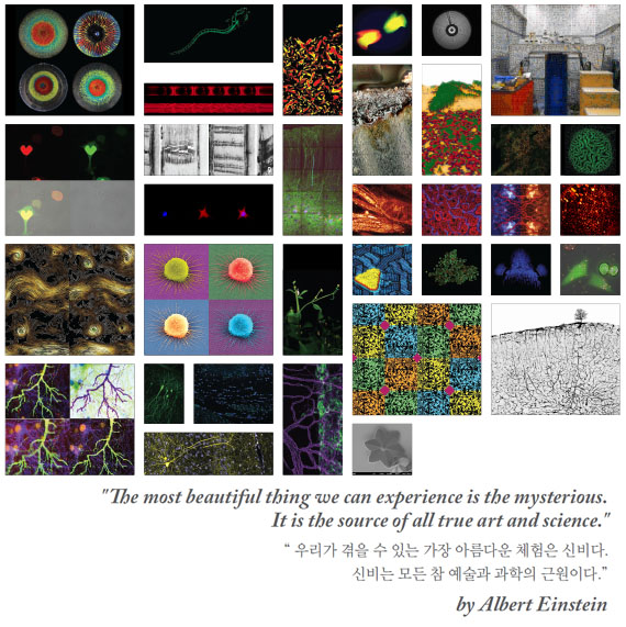 Art in Science 작품설명 이미지