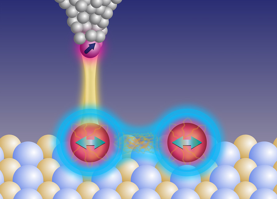 Enhancing quantum coherence of atoms on a surface.
Two magnetically coupled atoms on a surface protect the spin states from the environment. The tip of a scanning tunneling microscope is used to electrically detect and control the atoms' spin states